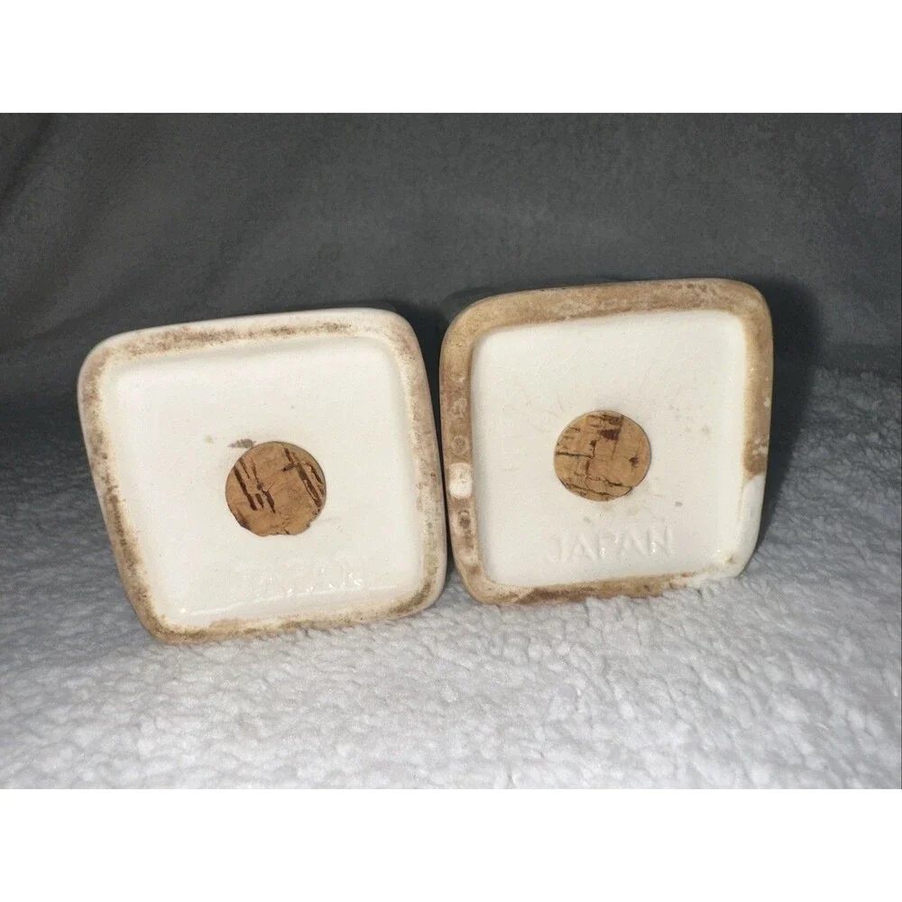Ivy Ceramic Salt And Pepper Shaker Set Made In Japan